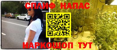 гидра Брянск