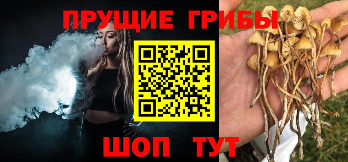 Псилоцибиновые грибы прущие грибы  Вход с VPN  Кудымкар  где продают   Галлюциногенные грибы Psilocybe 